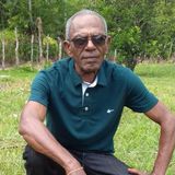 Miguel Costa Seresteiro