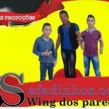 Forró Safadinhos.Com
