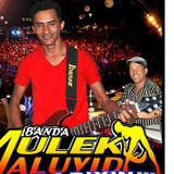 Muleka Maluvida