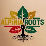 Alpínia Roots