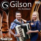 Gilson Do Acordeon