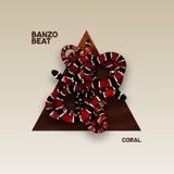 Foto de Banzobeat