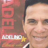 Adelino Júnior