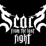 Scars From The Last Fight