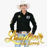 Laudecir Do Forró