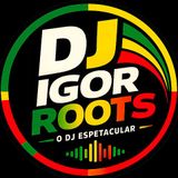 DJ IGOR ROOTS REGGAE REMIX