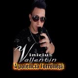 Vinicius Vallentin