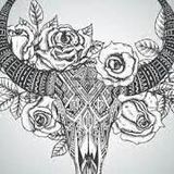 K.B Bulls