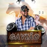 Douglas Gavião