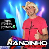 Nandinho Dos Teclados O Ferinha Da Bahia