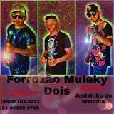 Forrozão Muleky Dois