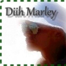 Imagen del artista Diih Marley