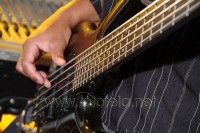 Imagem de Mauricio Rosa