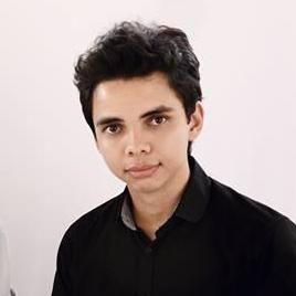 Imagem de Raul Brito