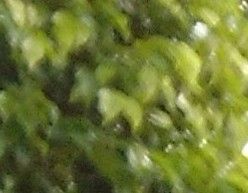 Imagem de Italo Santos 