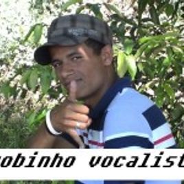 Imagem de robinho vocalista