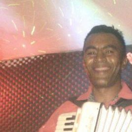 Imagem de ADALTON SANFONEIRO