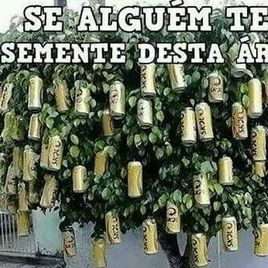 Imagem de luciano