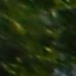 Imagem de Leonardo