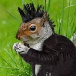Imagem de Chippunk