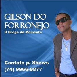 Imagem de Gilson do Forrnejo