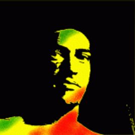 Imagem de Emerson Torres