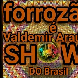 Imagem de FORROZÃOVALDEMIRARAÚJOÉSHOW