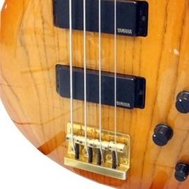 Imagem de baixo Gugu Bass 