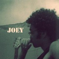 Imagem de Joey
