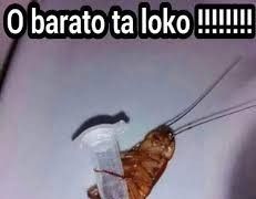 Imagem de ApóKa