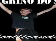Imagem de O Peregrino do Senhor
