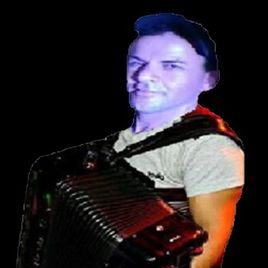 Imagem de Novinho Acordeon