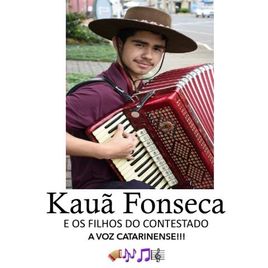 Imagem de Kauã Fonseca