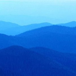 Imagem de Gilberto Fernandez