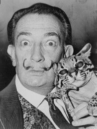 Imagem de Salvador Domingo Felipe Jacinto Dalí i Domène