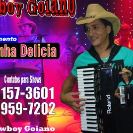 Imagem de cawboy goiano