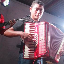Imagem de Idelbrando (Neguinho do Acordeon)