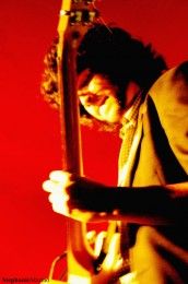 Imagem de Tarsis Neufert