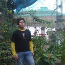 Imagem de NINO