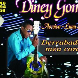 Imagem de Diney Gomes