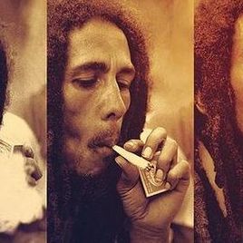 Imagem de Pedro Alves