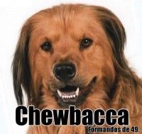 Imagem de Sandro Ferreira