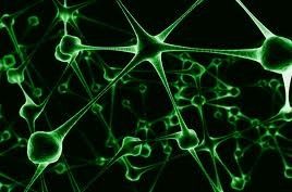 Imagem de Weliton Bass