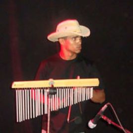 Imagem de Pato