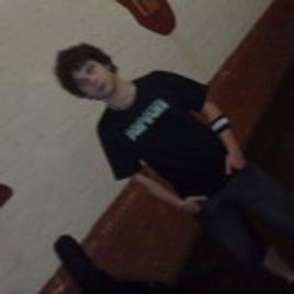Imagem de Poodle