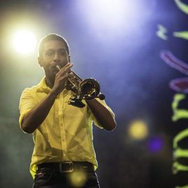 Imagem de JUNIOR (CHOQUITO)