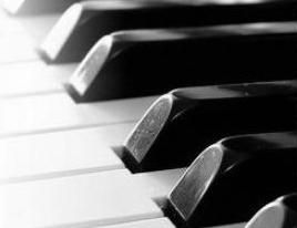 Imagem de Caio  Chacon