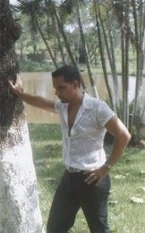 Imagem de Tango