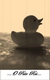 Imagem de Cello Valim