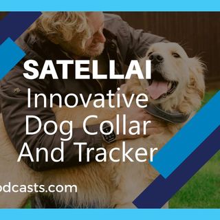SATELLAI's Advanced Dog Tracker for Global Connectivity for Pets